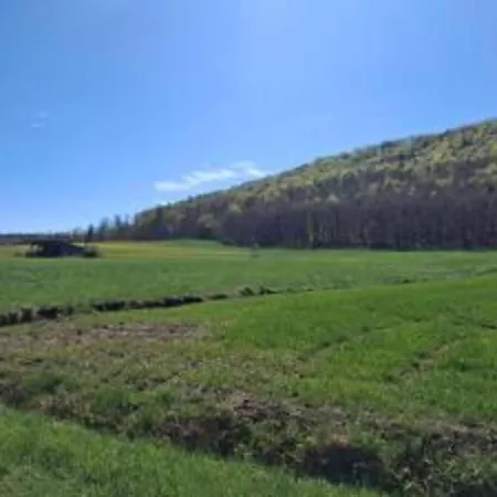 In Armsfeld Mit Pool アパート バート・ヴィルドゥンゲン