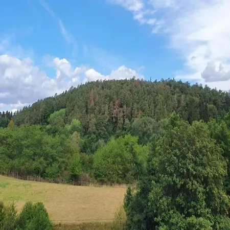 アパート In Armsfeld Mit Pool *